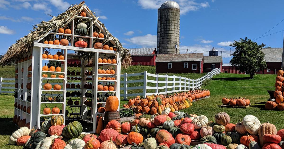 Find Fun Fall Activities Near Glens Falls Farms, Apple Picking